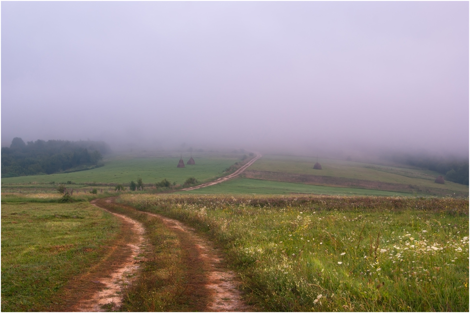 кардиограмма