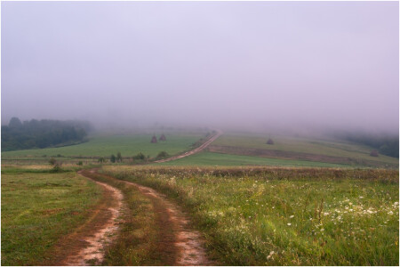 кардиограмма