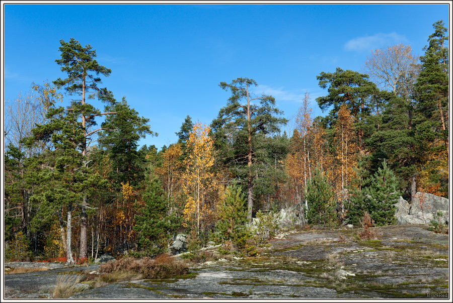 Осень в Карелии