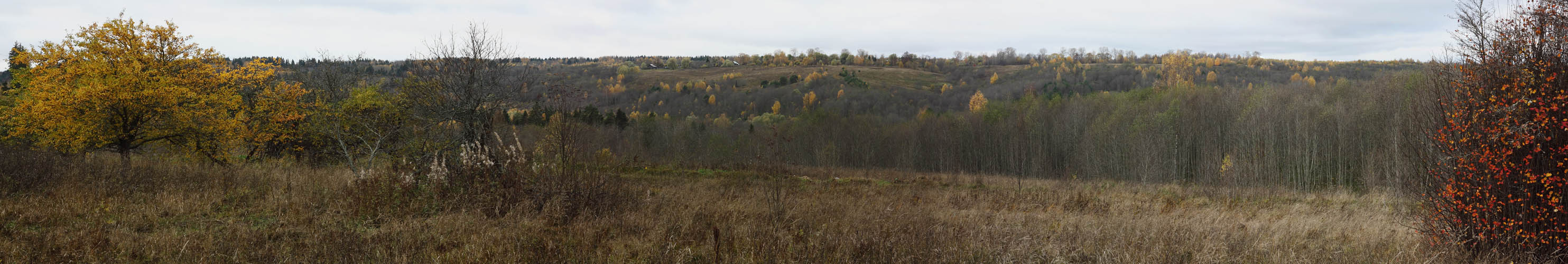 осень в Эдеме