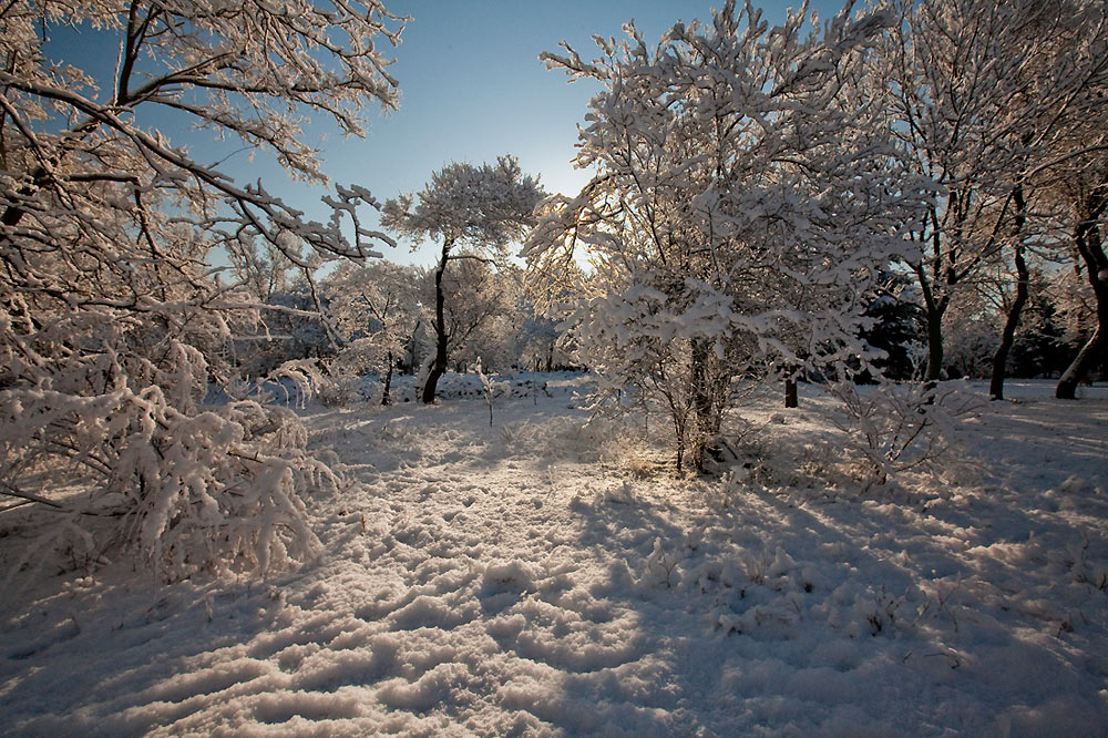 снежок в нашем городе 1