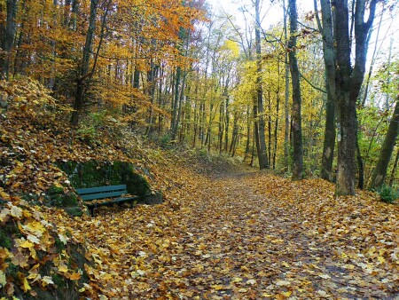 Зона отдыха