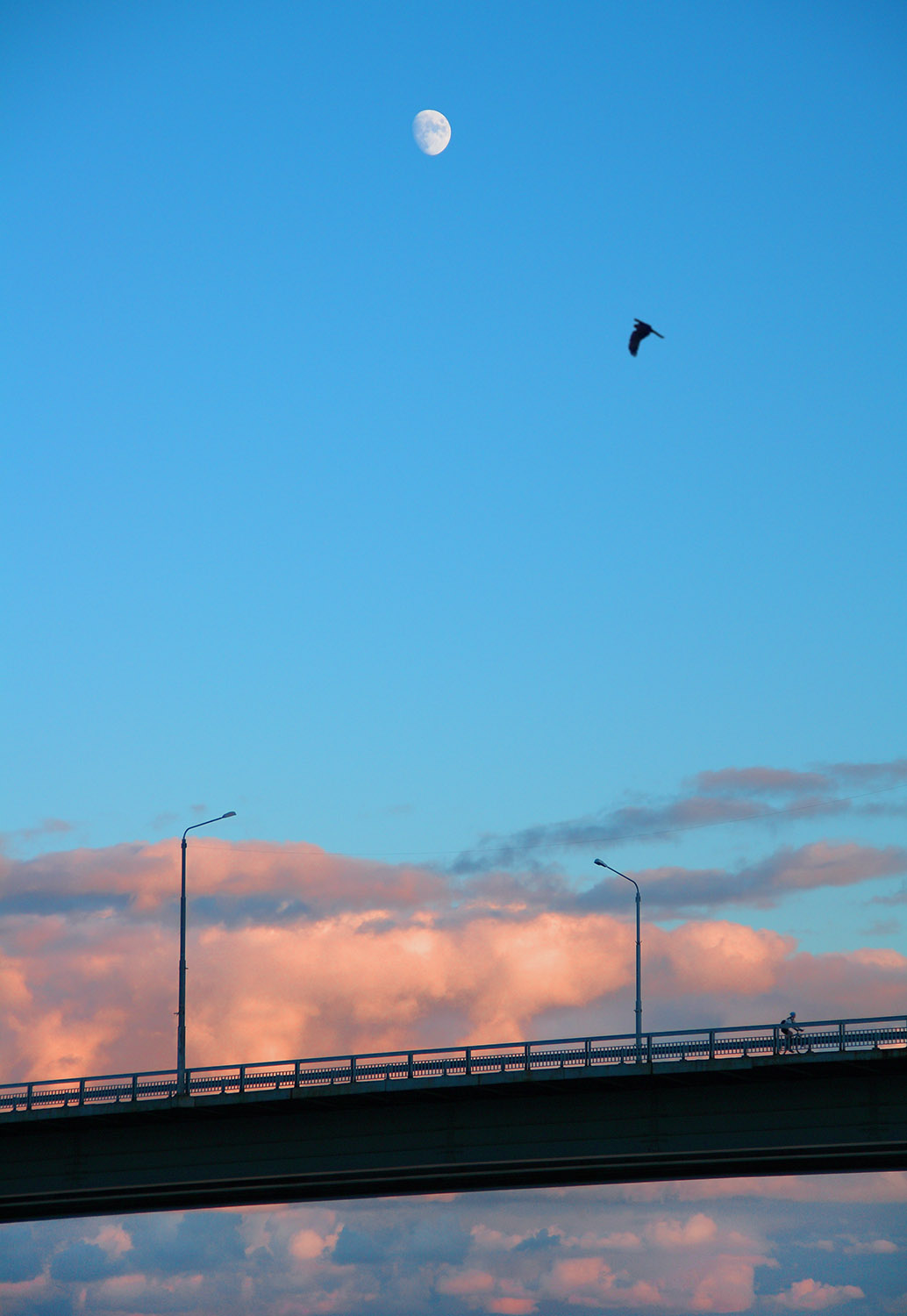 bridge lines (under the moon)