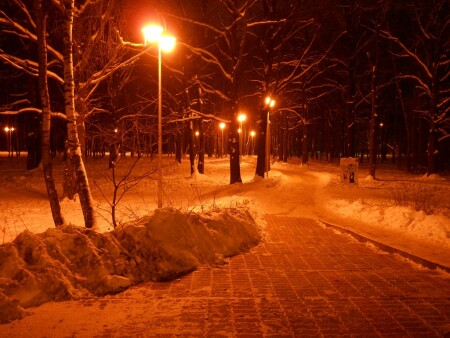 парк "Дубки".