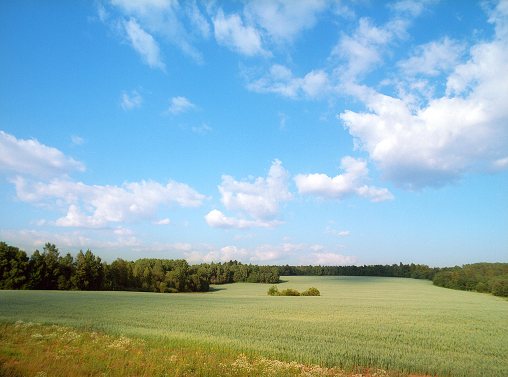 зелёная река