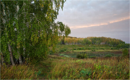 Предрассветная