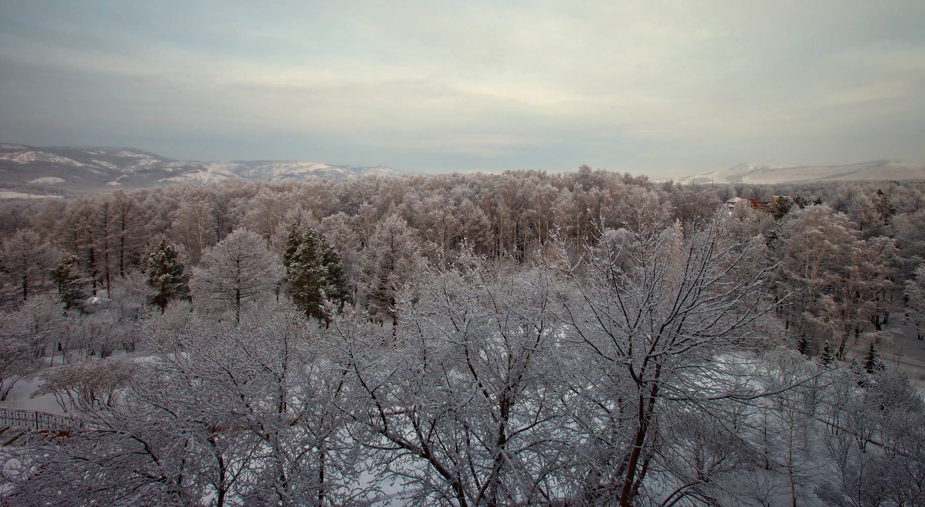 Морозное утро