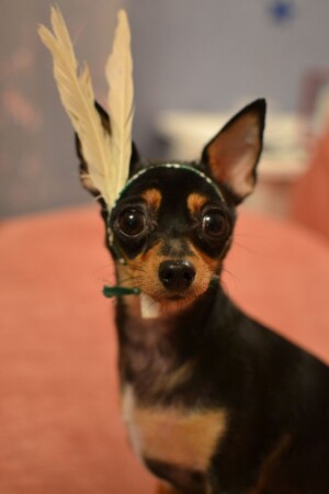 Пакахонтас