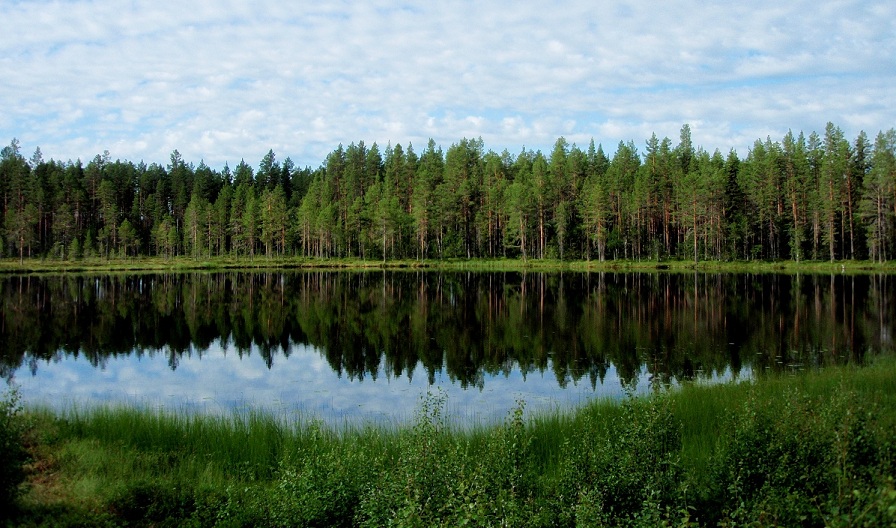 Вспоминая лето