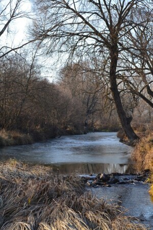 на початку зими