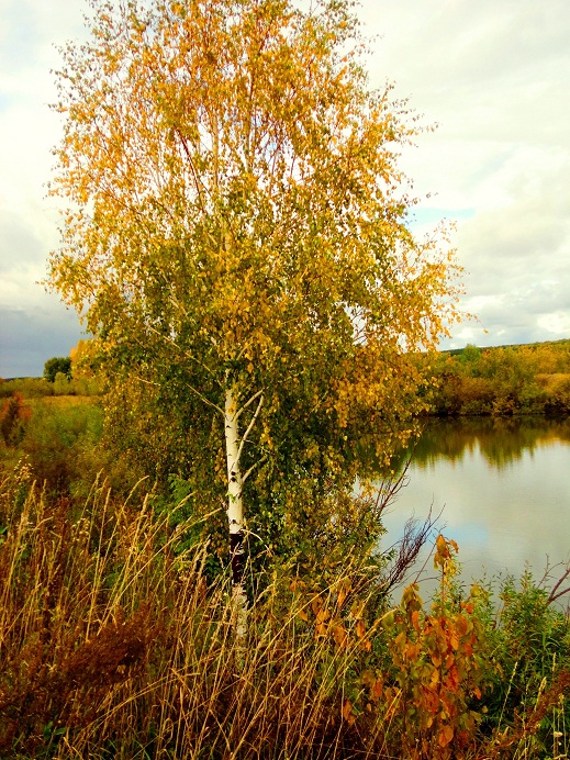 Теплая осень.