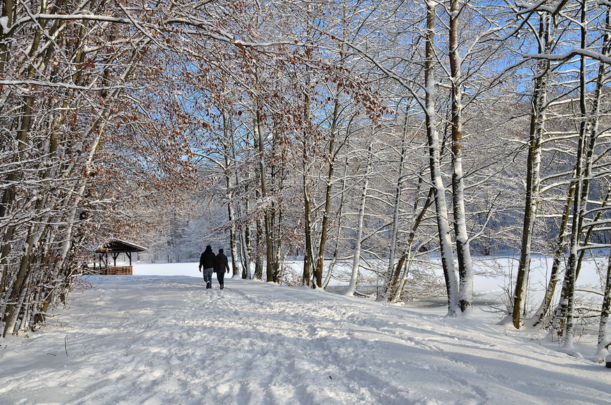 Прогулка к озеру