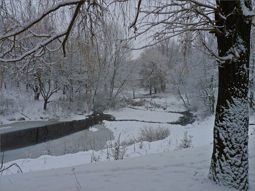 Зимний слалом маленького ручейка...