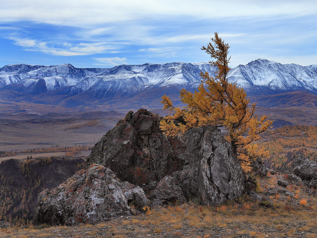 Осень крупным планом