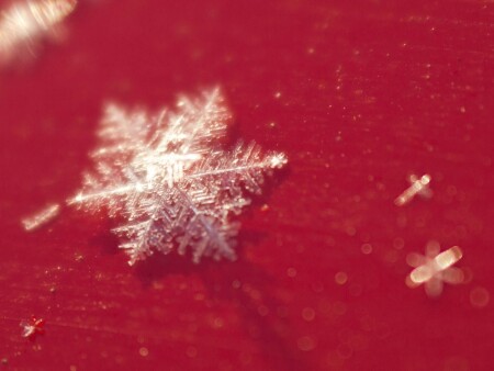 первый снег