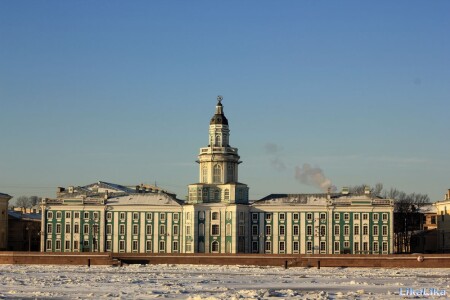 Кунсткамера