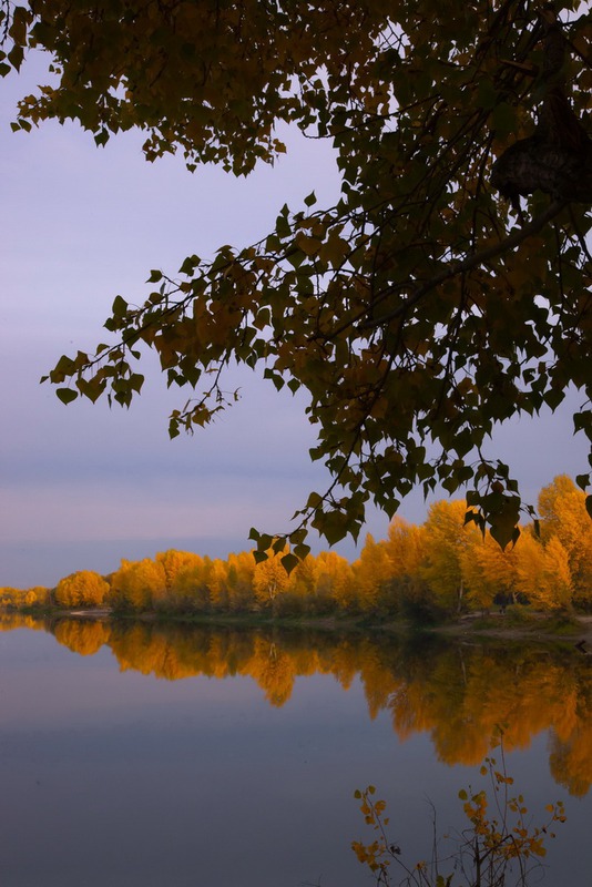 Осенняя свежесть