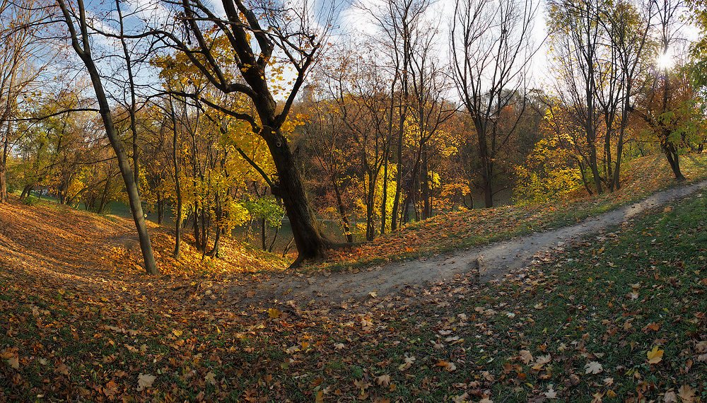 Парковая тропинка