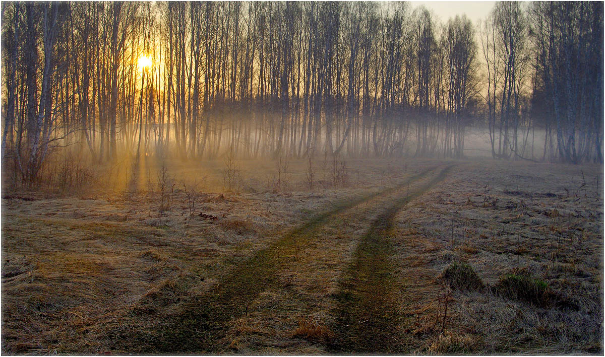 Утро осени