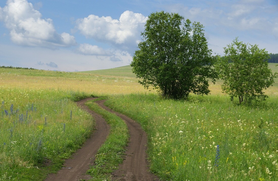 Башкирский пейзаж