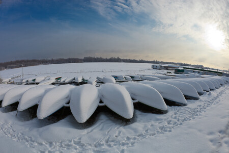 Охлажденные устрицы