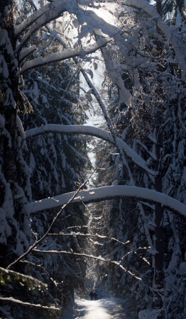 ... рассекая мир по жизни вместе ...