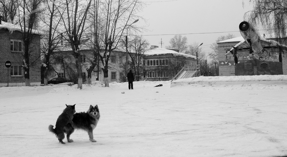 поселковая. панорамная