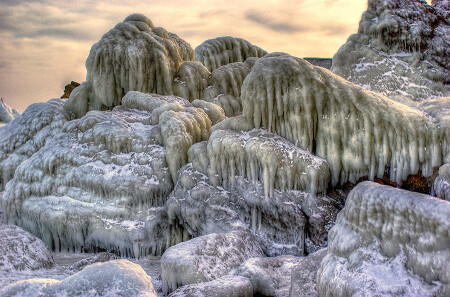 Медузы в городе