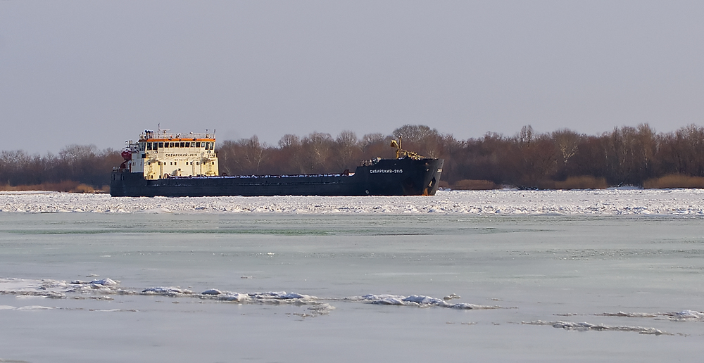 Сибирский