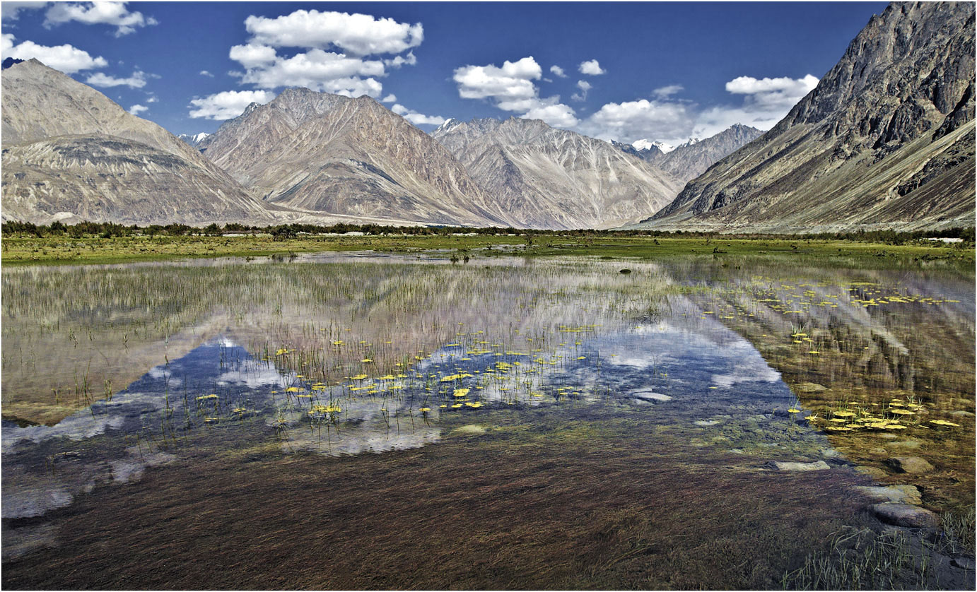 Nubra Valley