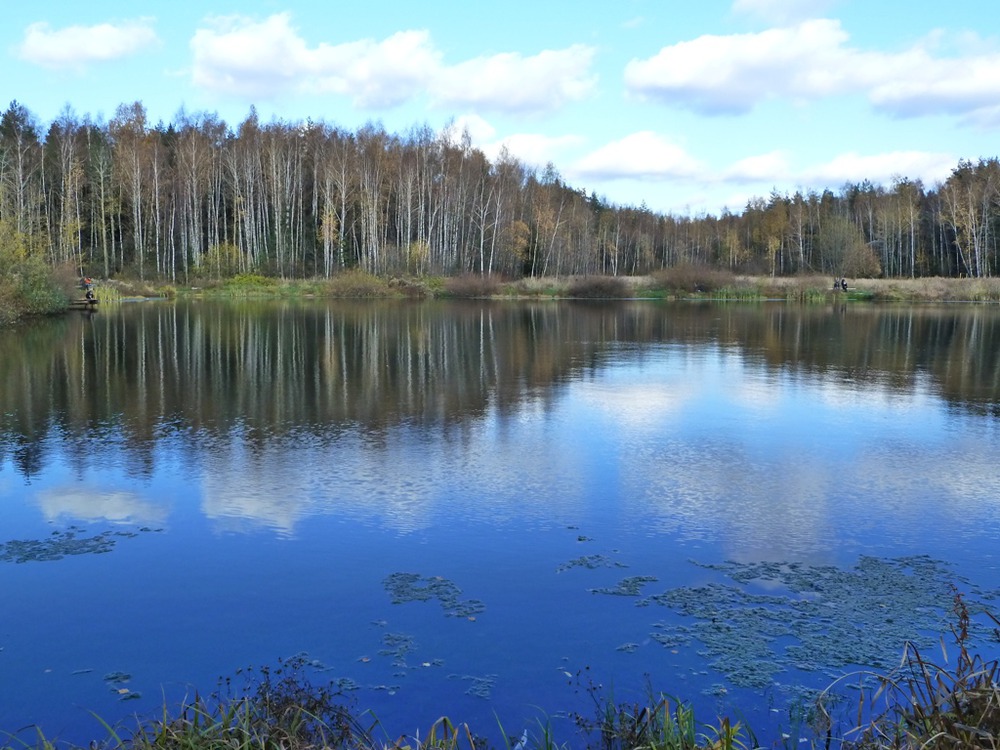 Прекрасное так близко