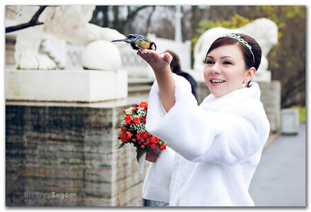 То что дарит позитив