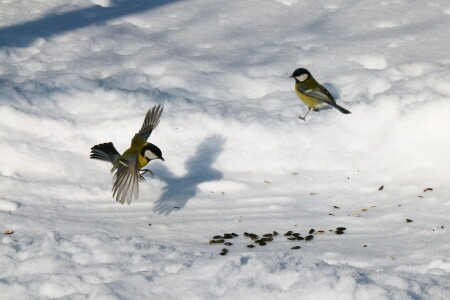 На посадку 2