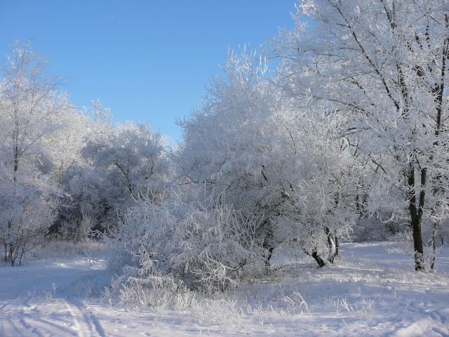 Зимнее утро