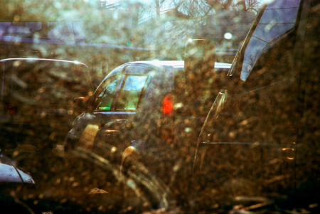 Весна как паранойа