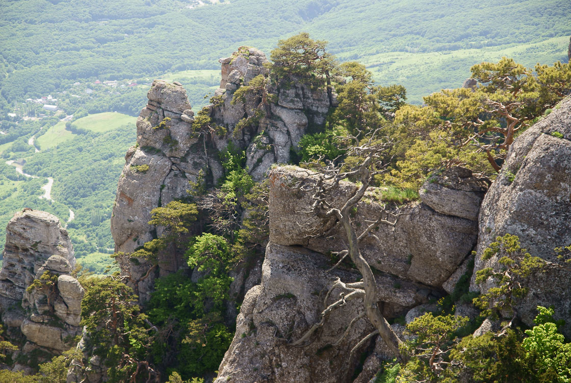 Скалы