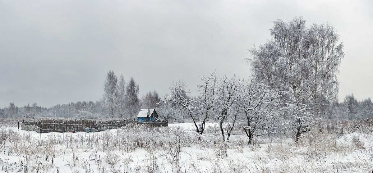 Огороды в Редкино с деревьями в феврале