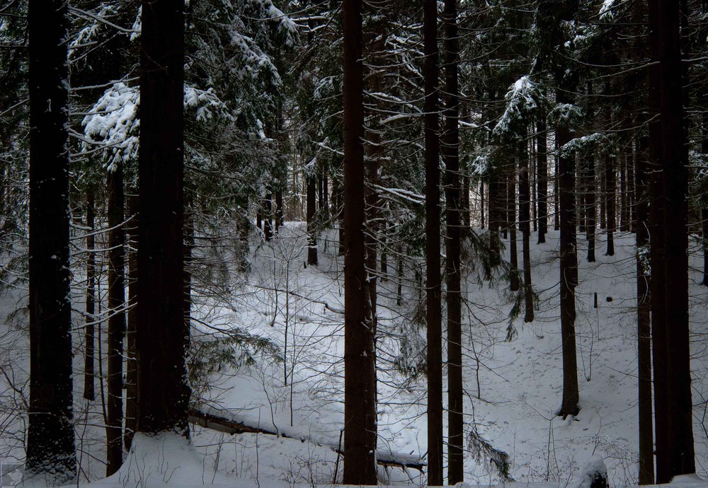 Свет в лощине