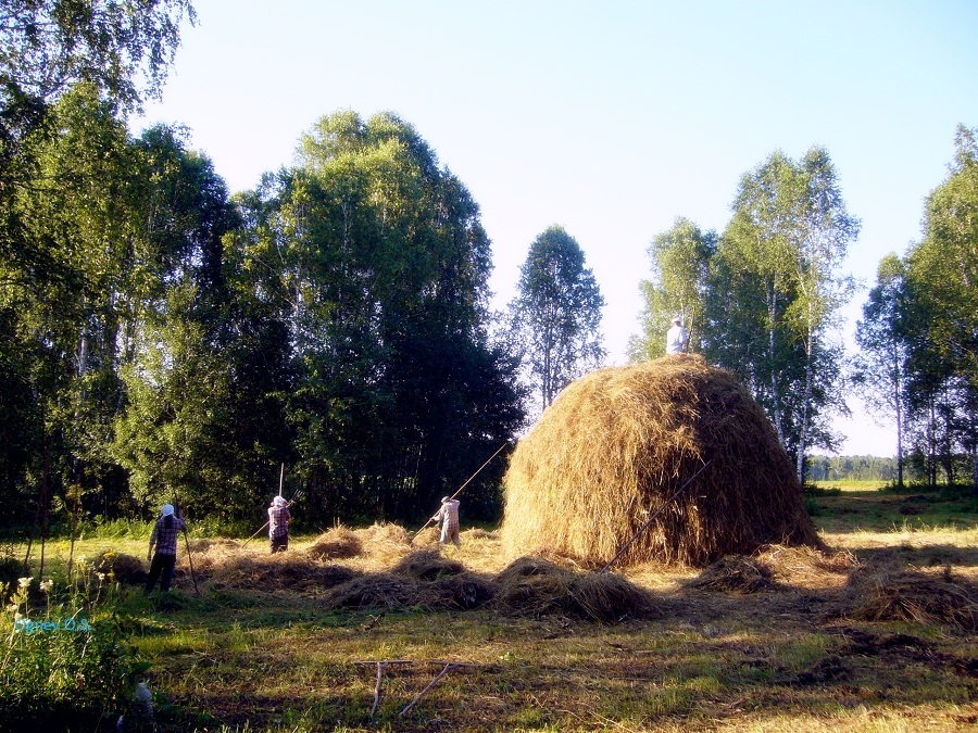 уборка сена