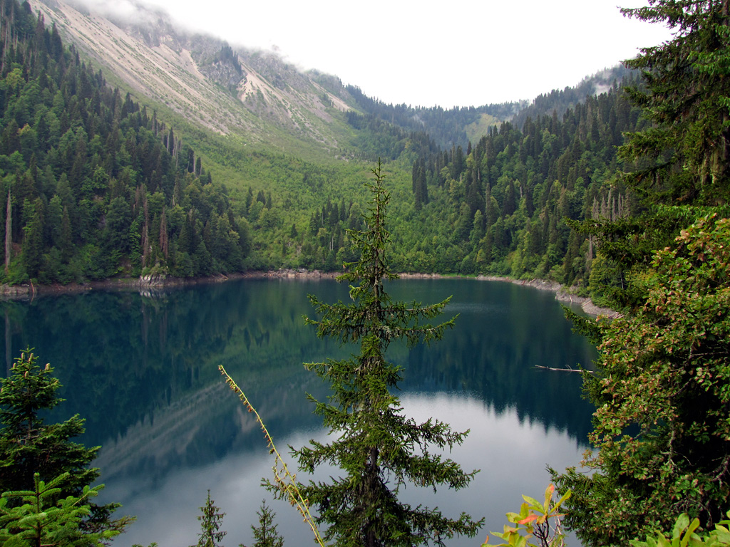 Про воду и лес