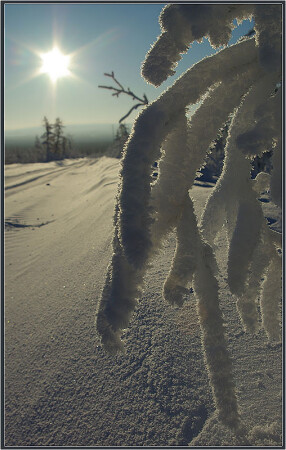 Иней