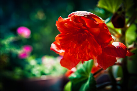 тянет к лету