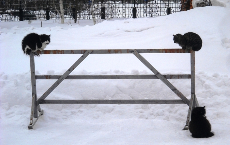 Первый день ВЕСНЫ