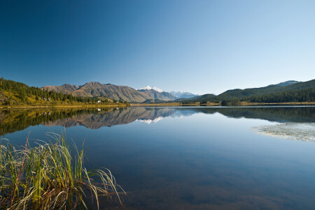 Белуха с Язевого озера