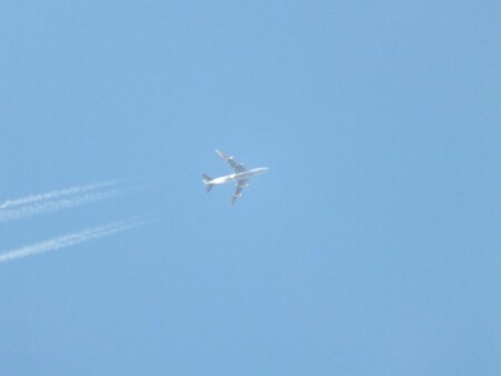 всего лишь 10 000