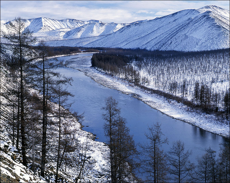 Первый снег.