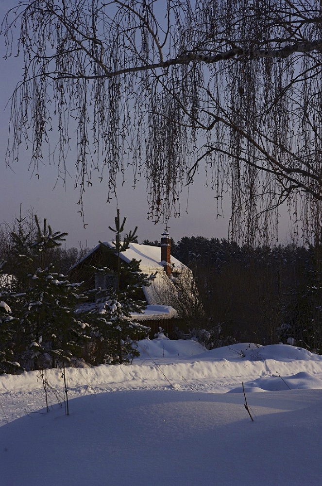 Домик в деревне