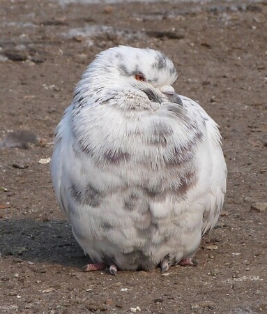 Холодно мне