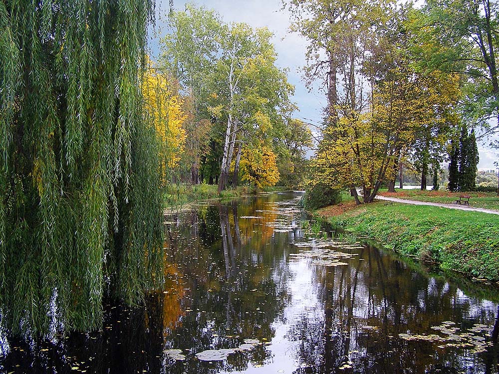 Белая церковь. Дендрарий.