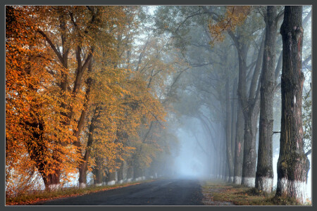 Дорога в осень...